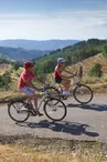 Location de vélos à assistance électrique